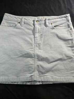 Patagonia Light Gray Corduroy Mini Skirt